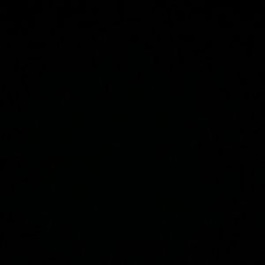 Meet your Posher, Lois